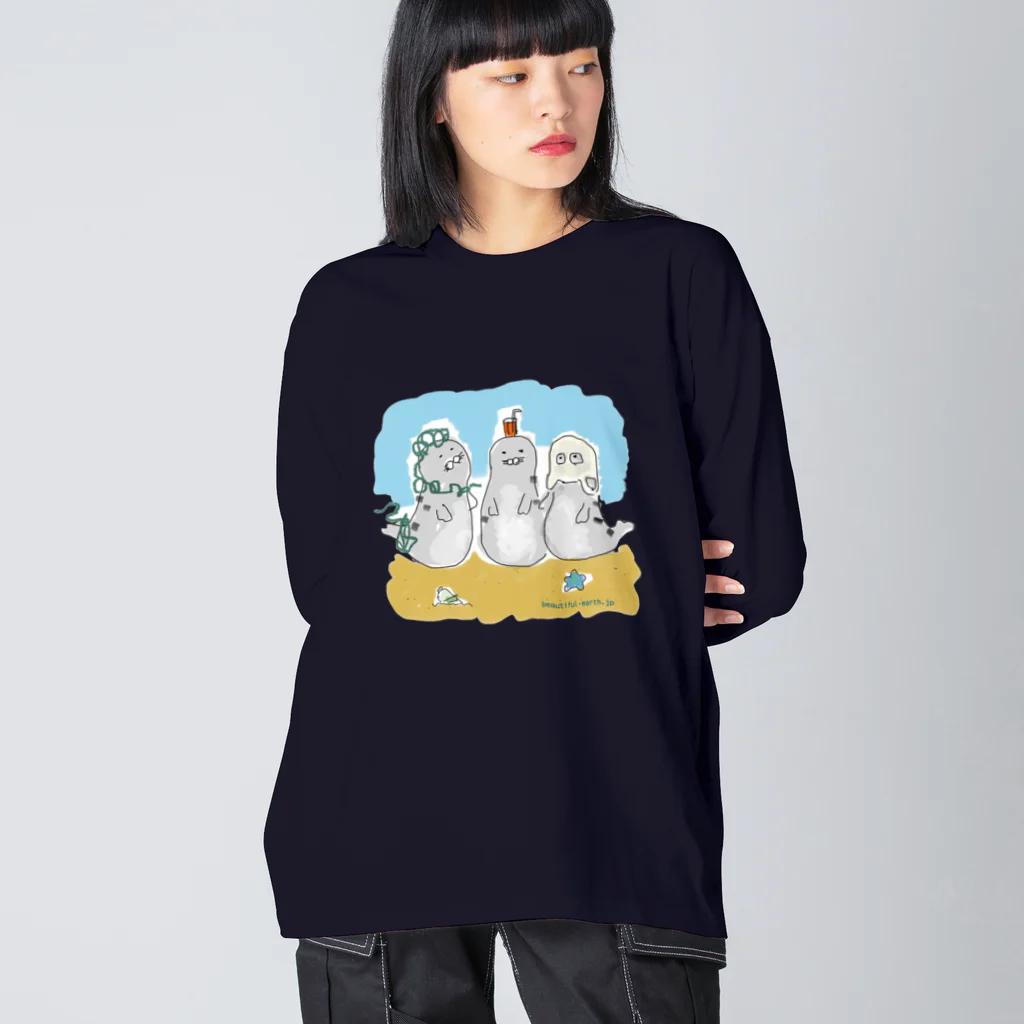 Beautiful Earthの海ゴミに悩むアザラシ3兄弟 Big Long Sleeve T-Shirt