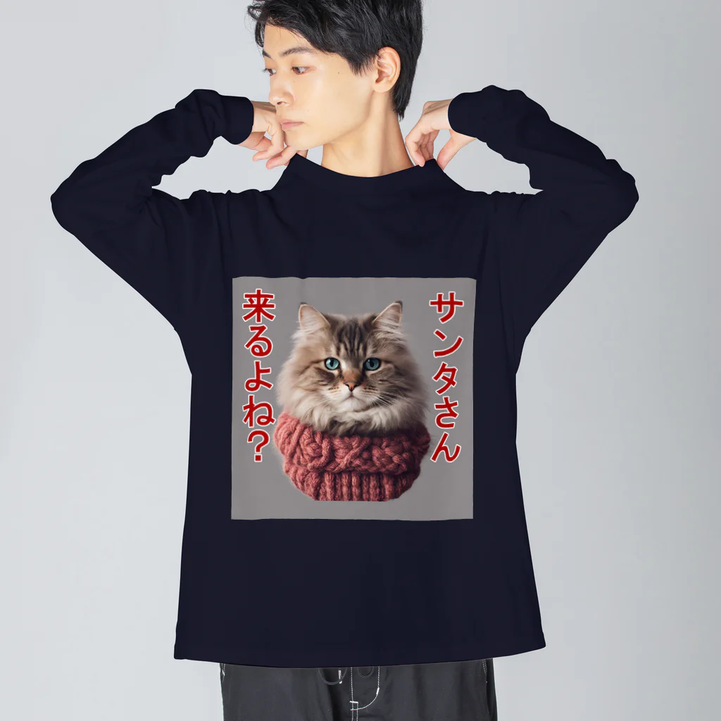 てくのちゃんのサンタを信じてる猫 Big Long Sleeve T-Shirt