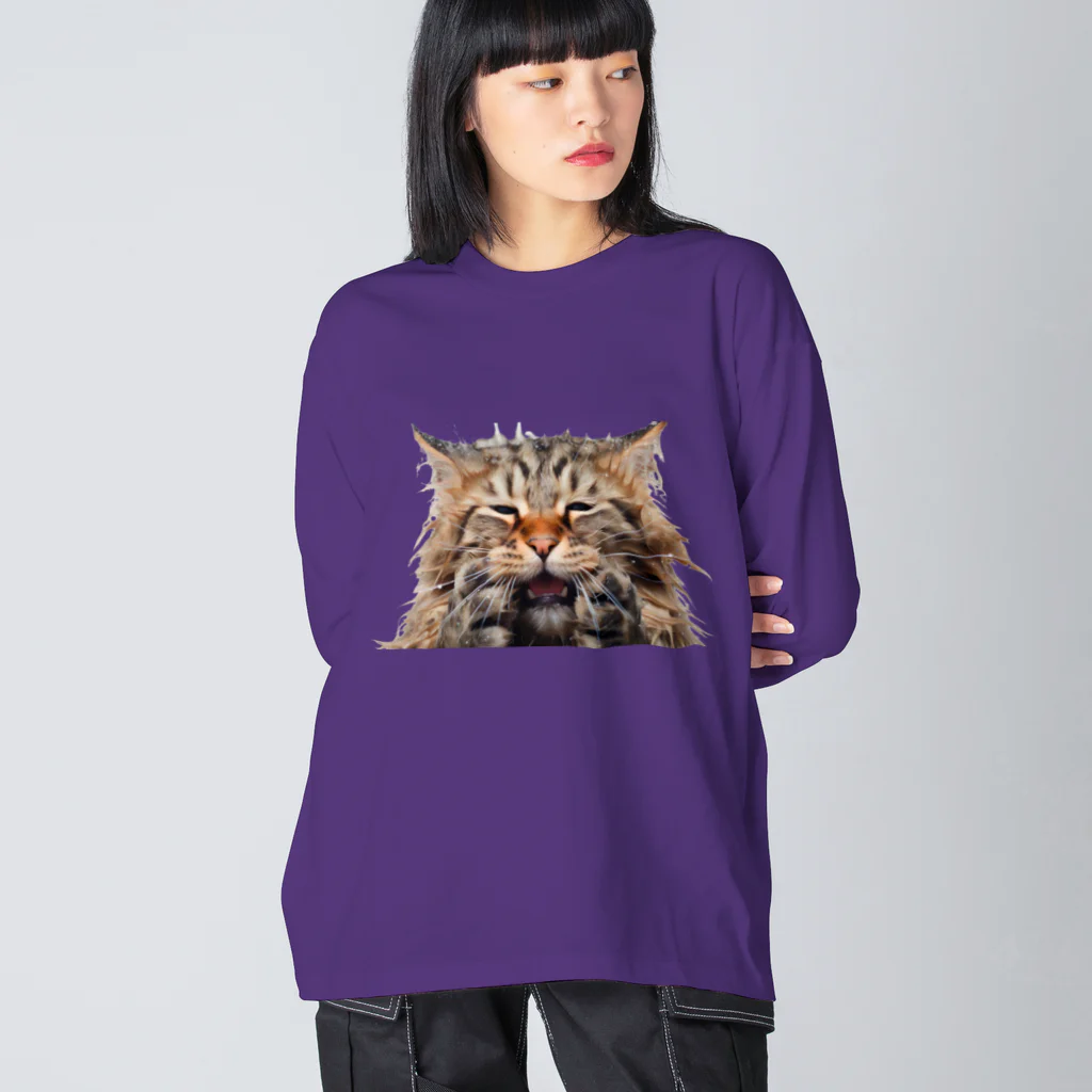 日向ぼっこのずぶ濡れ猫 ビッグシルエットロングスリーブTシャツ