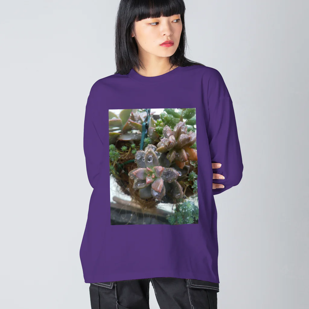 ミクロの雨の中の多肉植物 Big Long Sleeve T-Shirt