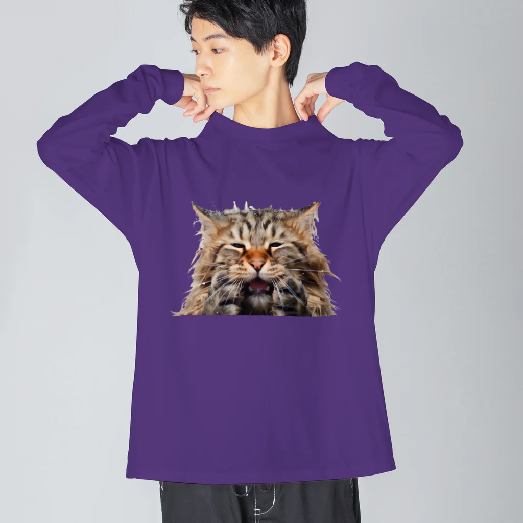 日向ぼっこのずぶ濡れ猫 Big Long Sleeve T-Shirt