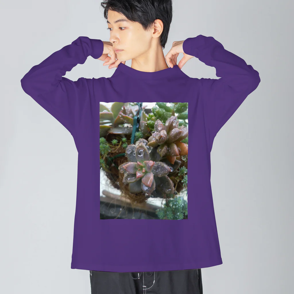 ミクロの雨の中の多肉植物 Big Long Sleeve T-Shirt