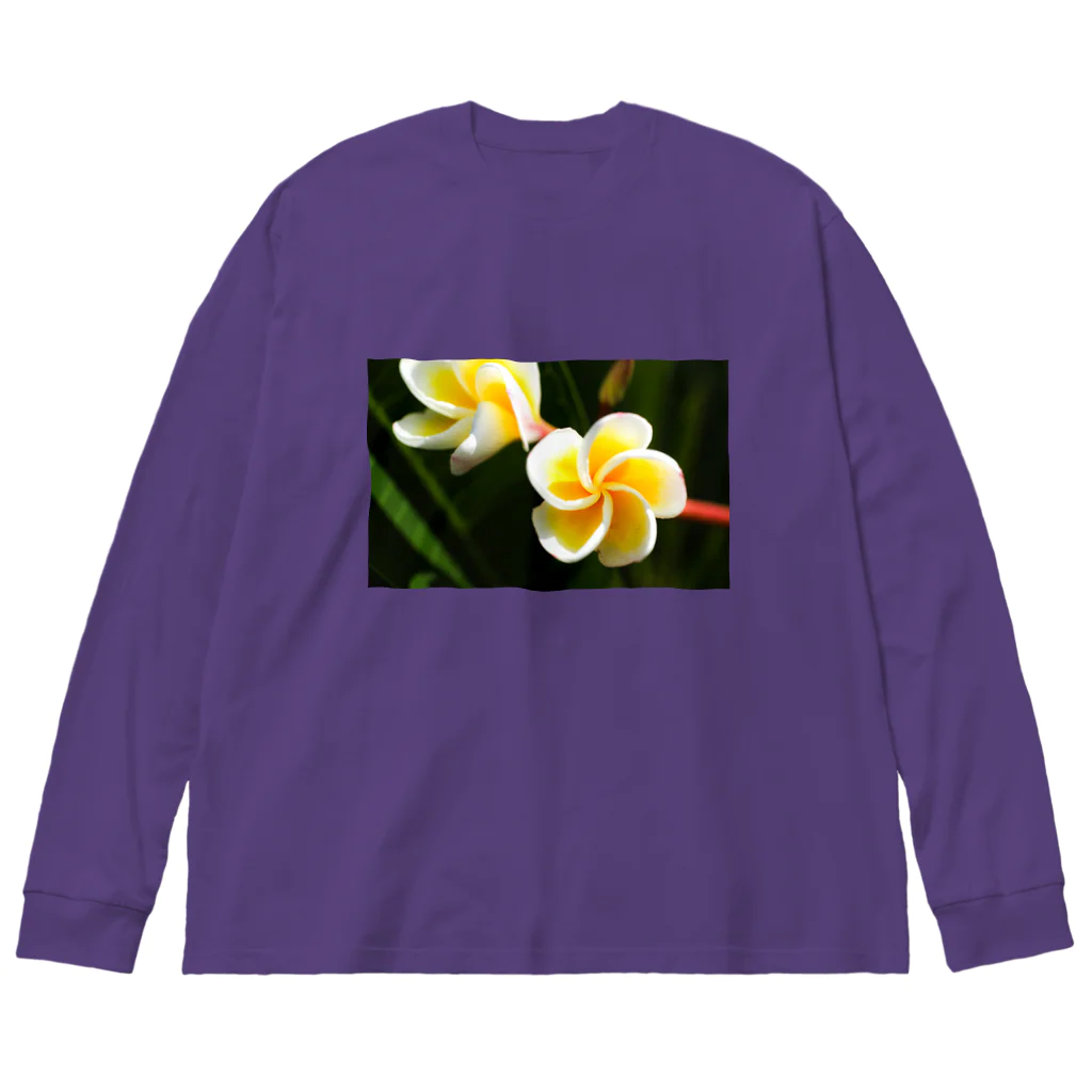 kamakiri3のFlower of the Heart　プルメリア ビッグシルエットロングスリーブTシャツ