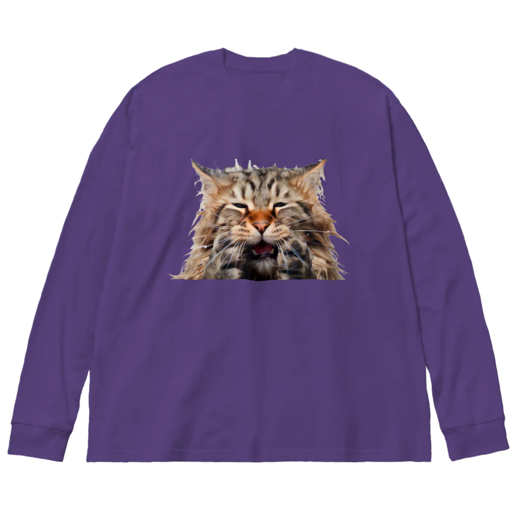 日向ぼっこのずぶ濡れ猫 ビッグシルエットロングスリーブTシャツ