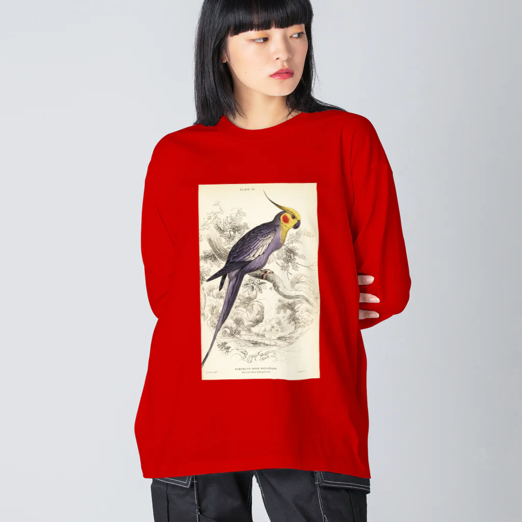 J. Jeffery Print Galleryの博物画　オカメインコ ビッグシルエットロングスリーブTシャツ