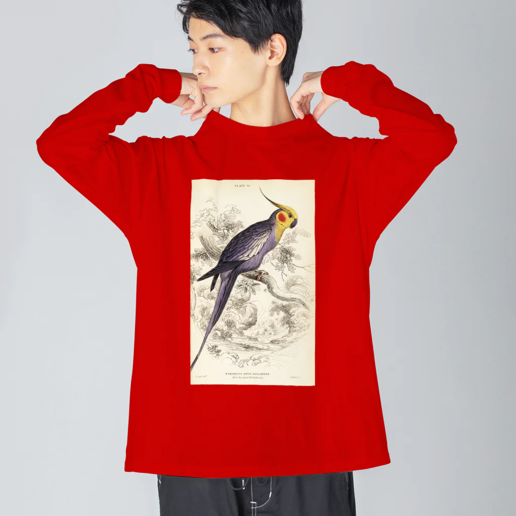 J. Jeffery Print Galleryの博物画　オカメインコ ビッグシルエットロングスリーブTシャツ