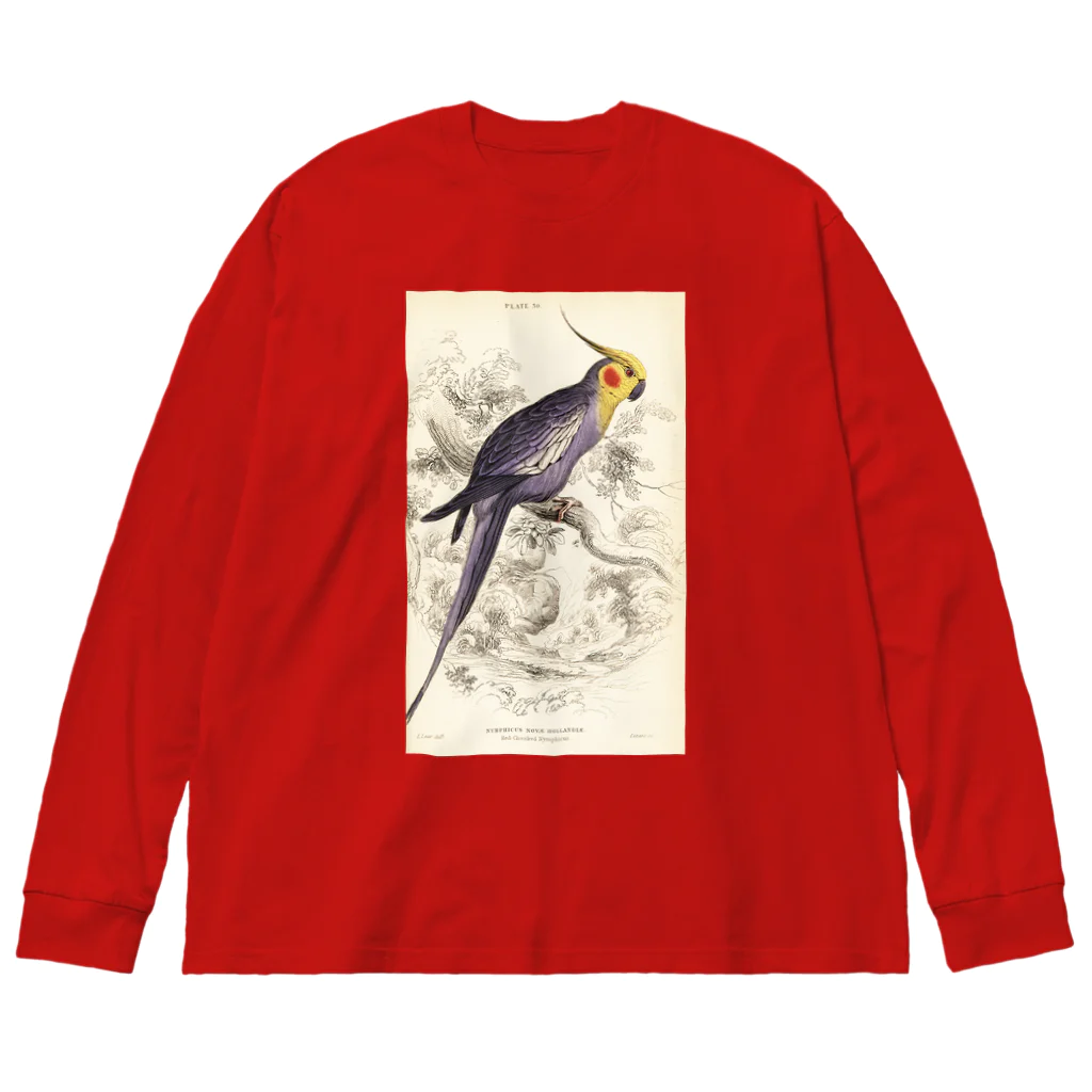 J. Jeffery Print Galleryの博物画　オカメインコ ビッグシルエットロングスリーブTシャツ