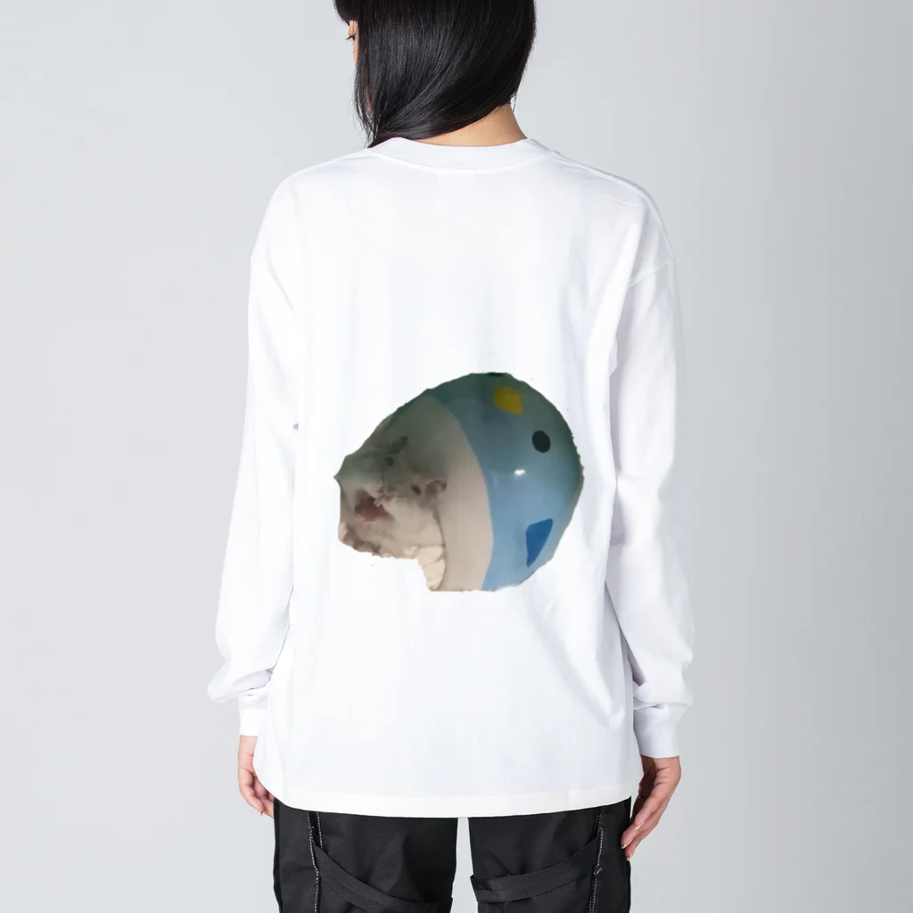 はむちのぶらさがりあしゅくん Big Long Sleeve T-Shirt