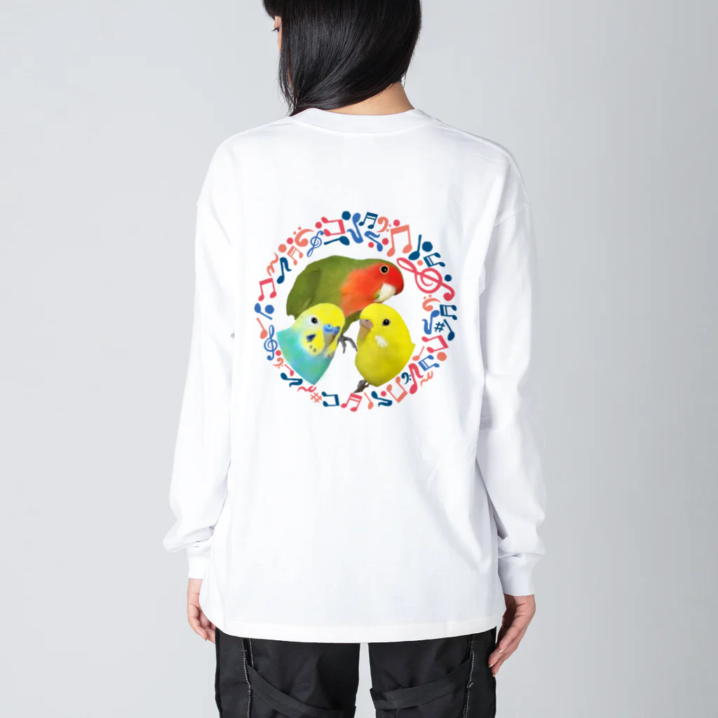 aco(아코)の仲良しインコちゃん◎音符 Big Long Sleeve T-Shirt