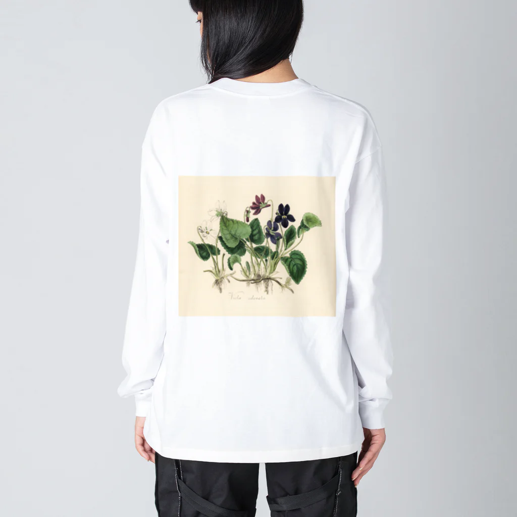 J. Jeffery Print Galleryのスミレ Big Long Sleeve T-Shirt