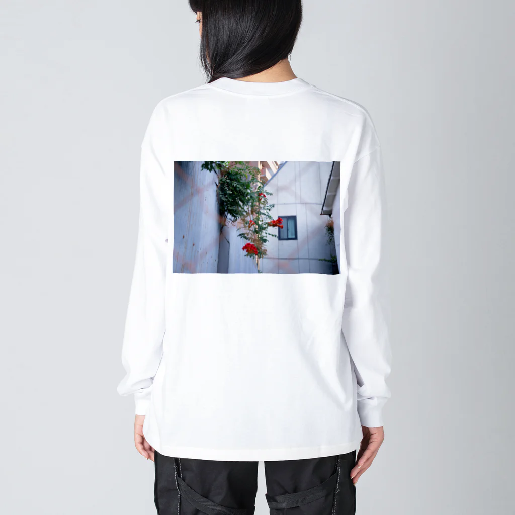 moromoroのhana_２ ビッグシルエットロングスリーブTシャツ