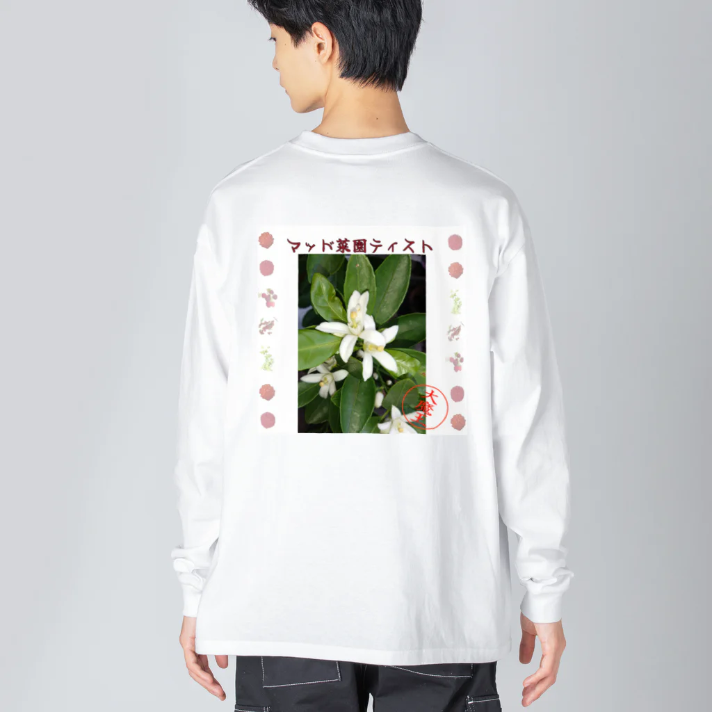 マッド菜園ティストの戯れのミカンのデザイン Big Long Sleeve T-Shirt