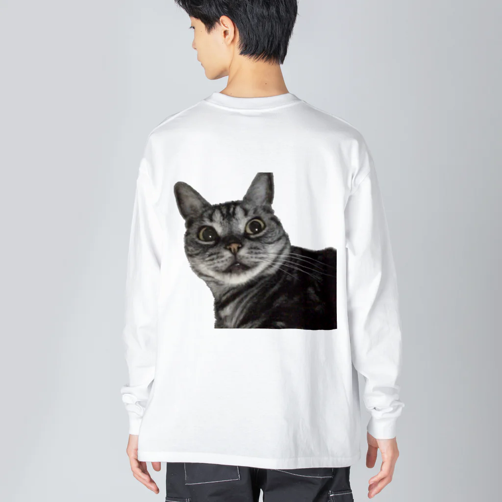 アメショーのひめちゃんのアメショーのひめちゃん⑦ Big Long Sleeve T-Shirt