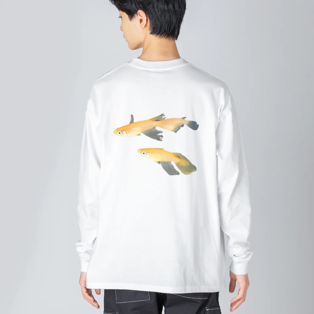 negiNegiの三匹のメダカ（楊貴妃） Big Long Sleeve T-Shirt