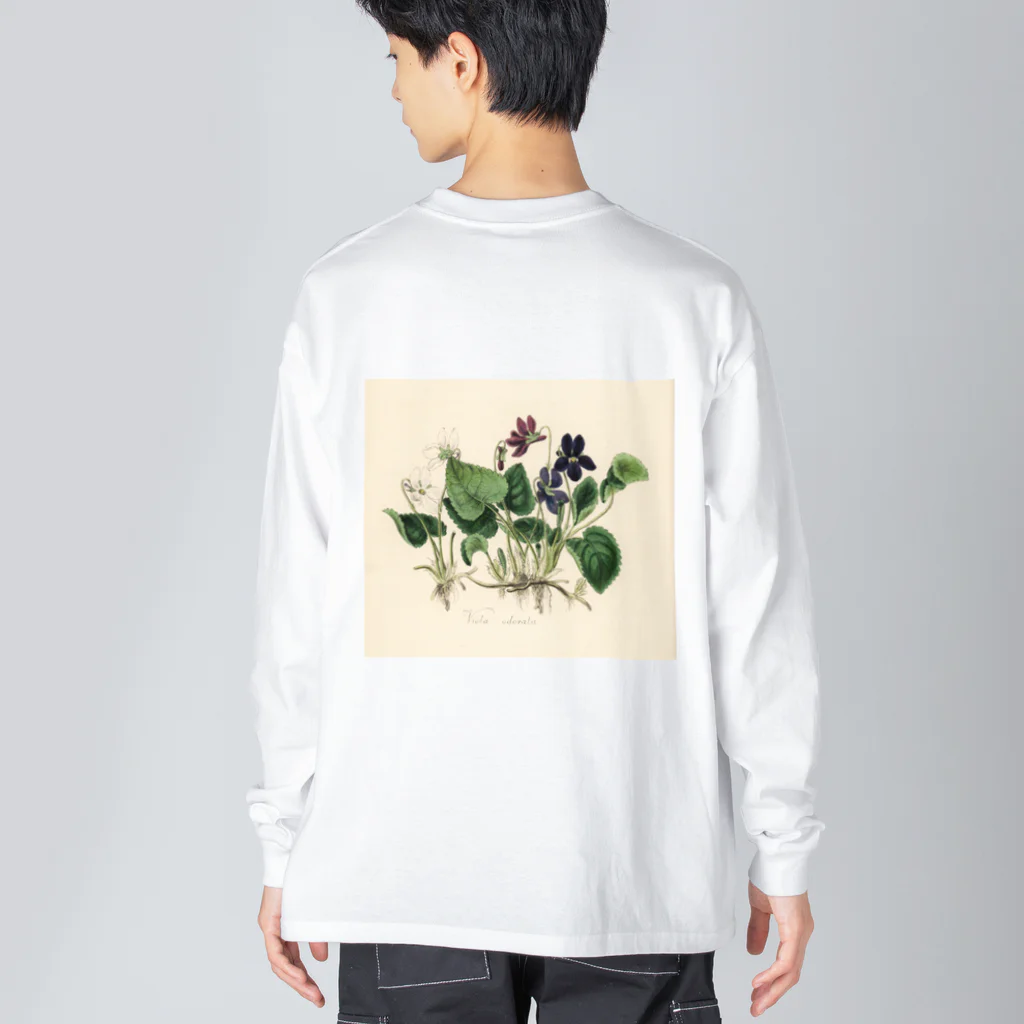 J. Jeffery Print Galleryのスミレ Big Long Sleeve T-Shirt