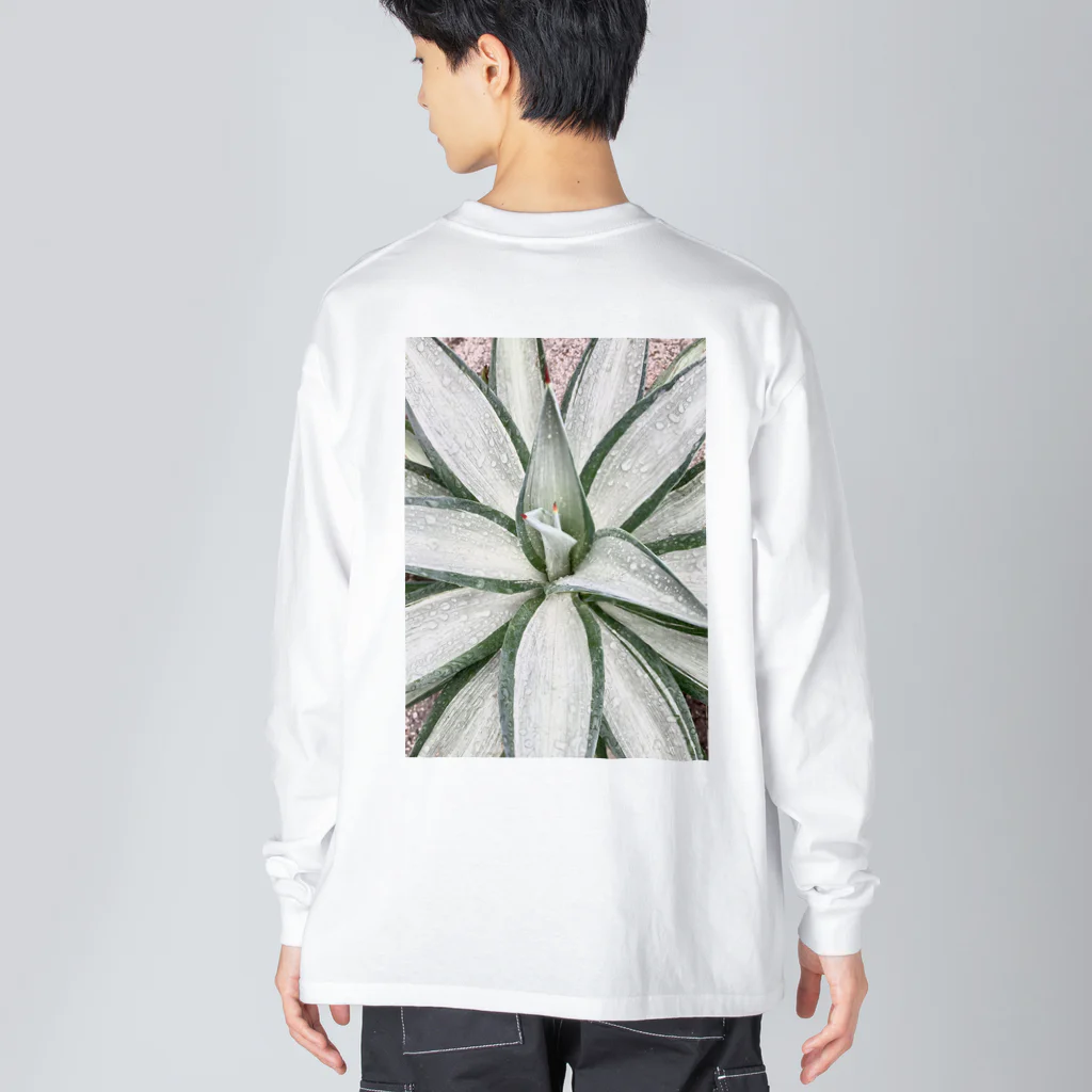 alitaliaのagave tシャツ ビッグシルエットロングスリーブTシャツ