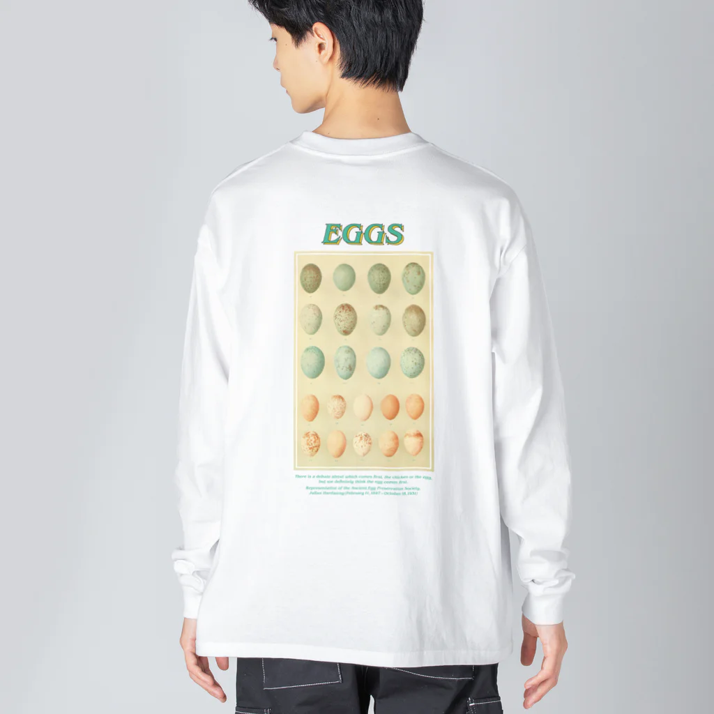 Parallel Imaginary Gift ShopのAncient Egg Protection Fund ビッグシルエットロングスリーブTシャツ