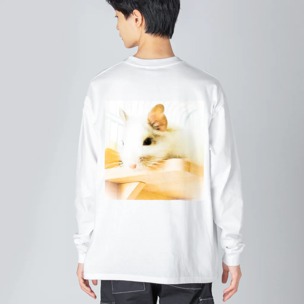 ハムデグのデグーの休日 Big Long Sleeve T-Shirt