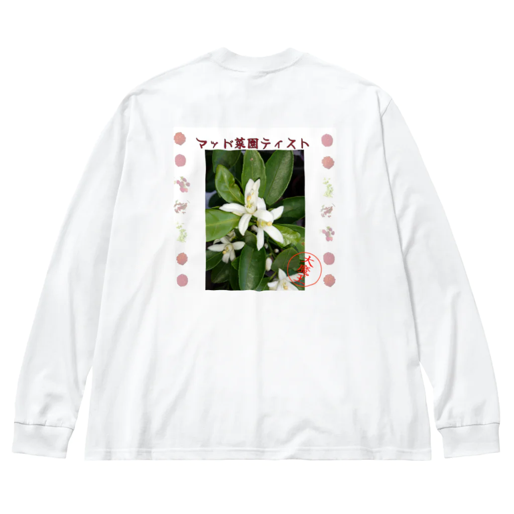 マッド菜園ティストの戯れのミカンのデザイン ビッグシルエットロングスリーブTシャツ
