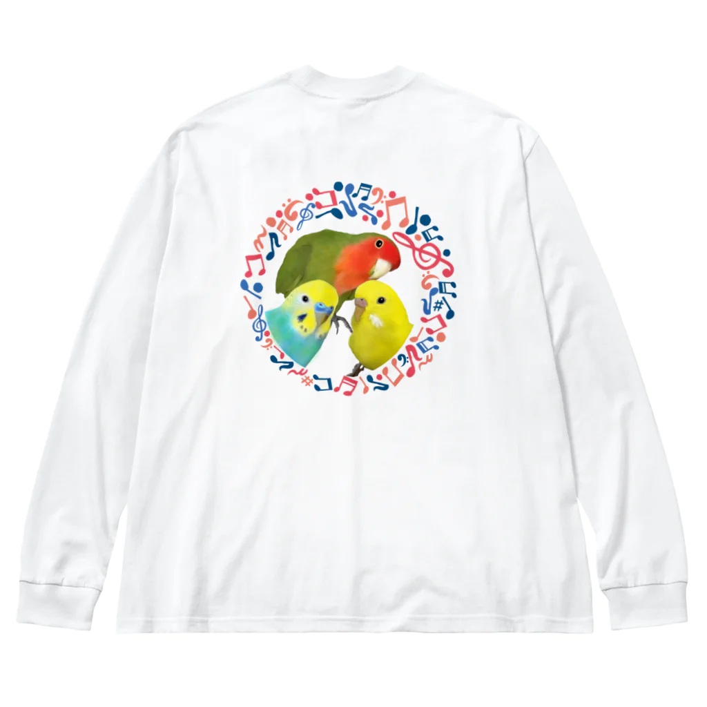 aco(아코)の仲良しインコちゃん◎音符 Big Long Sleeve T-Shirt