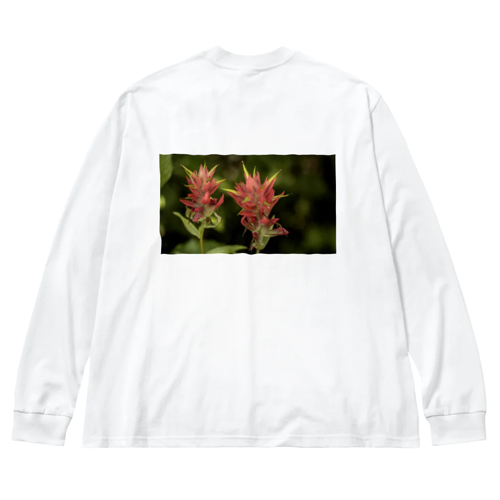 HideaのCanadian Flower  ビッグシルエットロングスリーブTシャツ