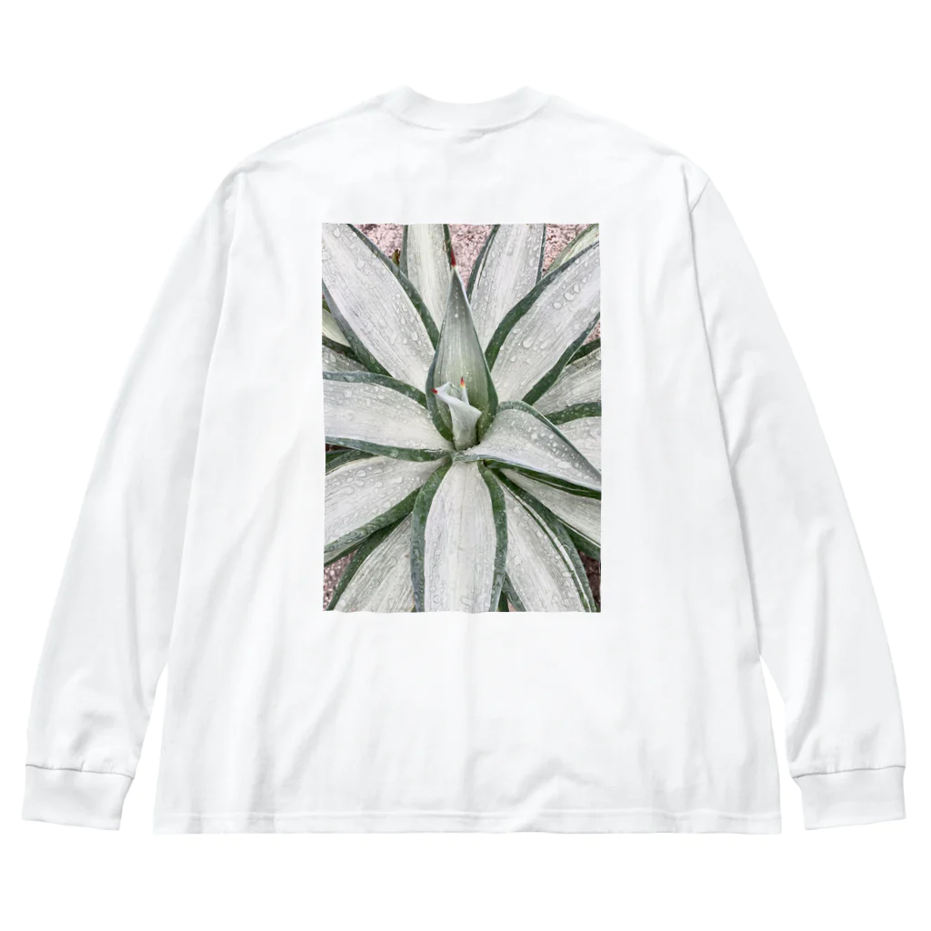 alitaliaのagave tシャツ ビッグシルエットロングスリーブTシャツ