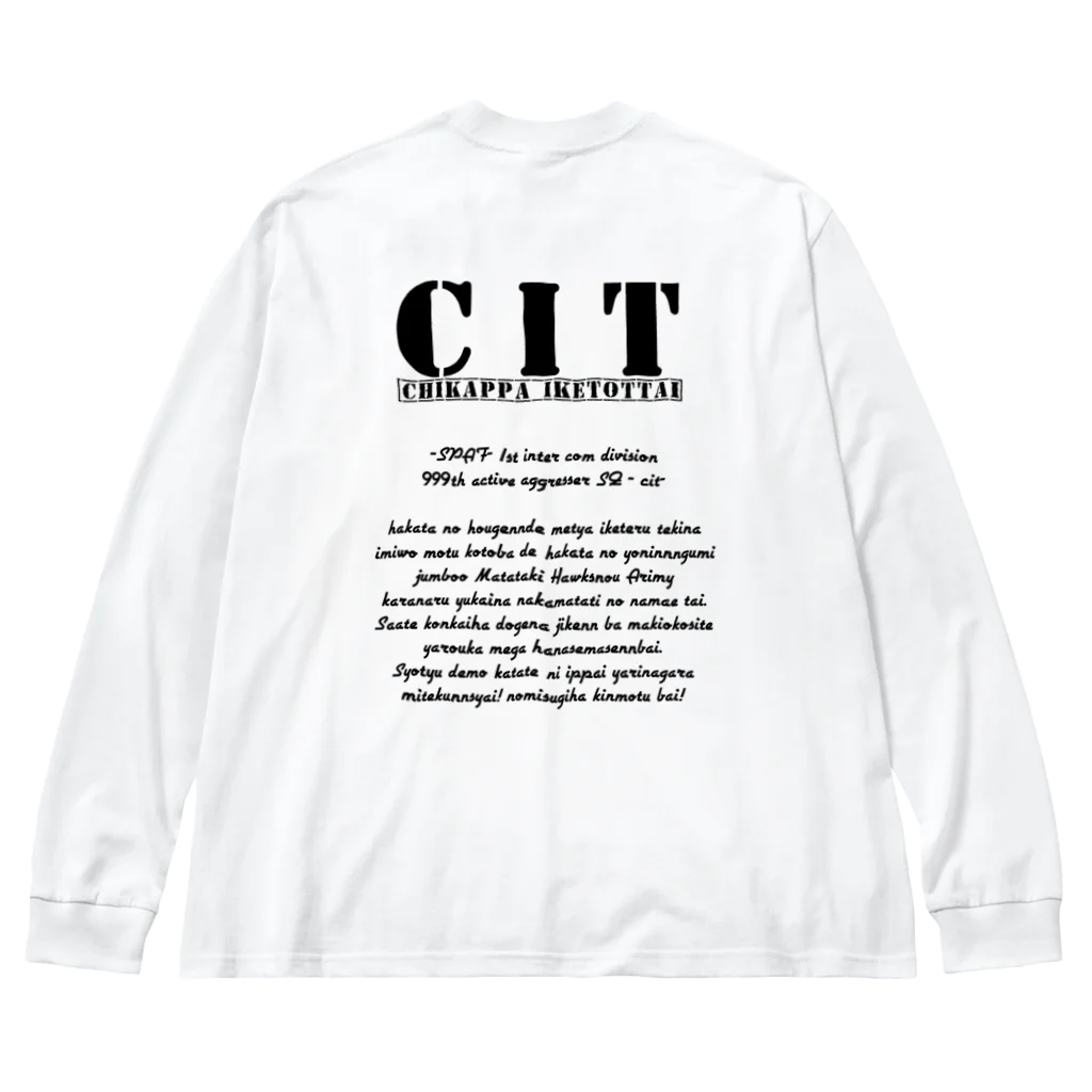 CITグッズ売り場のスタンダードロゴ Big Long Sleeve T-Shirt