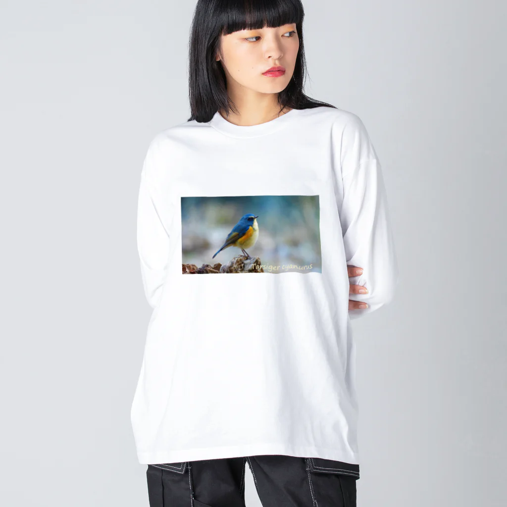 emiemieのルリビタキ（学名入り） Big Long Sleeve T-Shirt