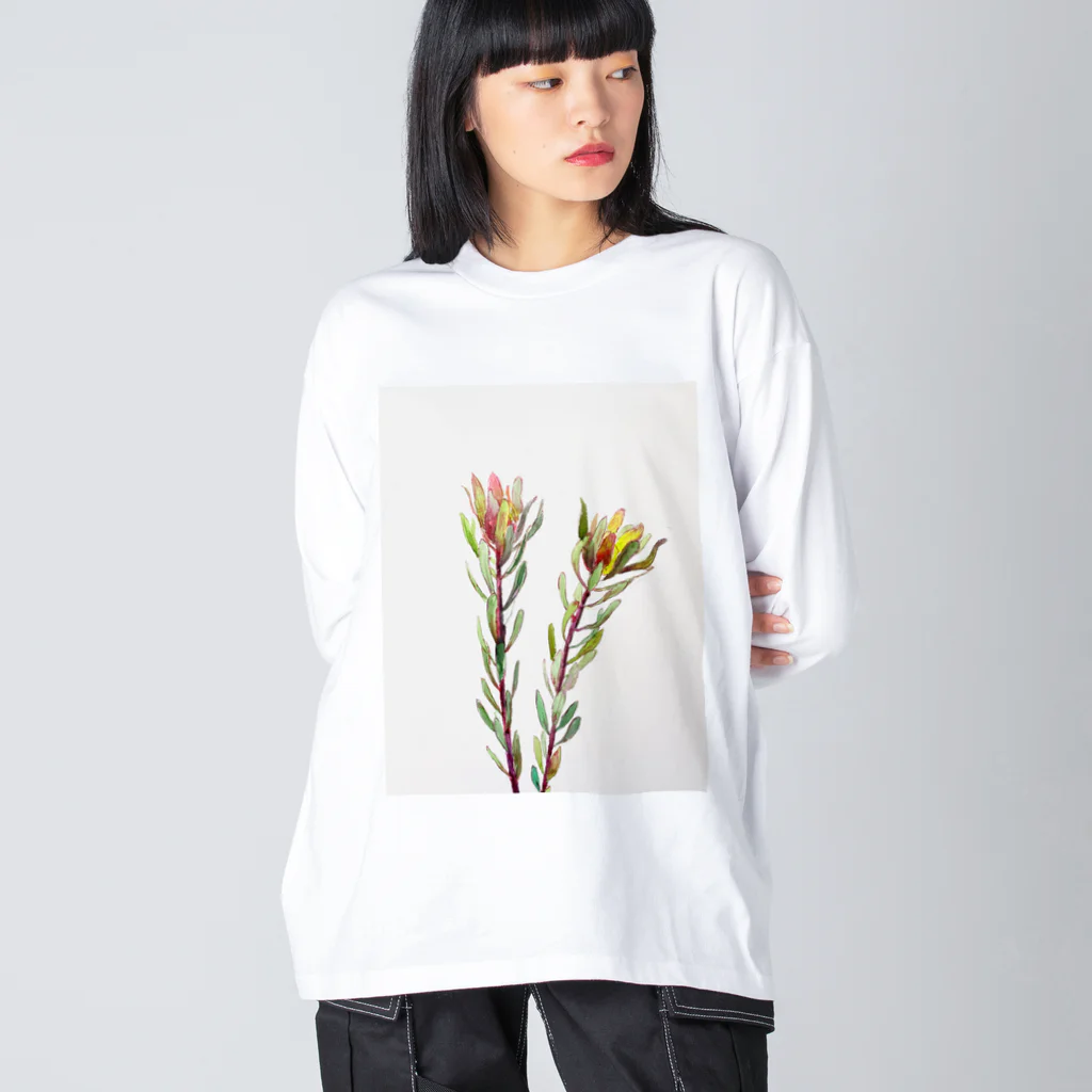 あおニャーマンの花水彩画 ビッグシルエットロングスリーブTシャツ