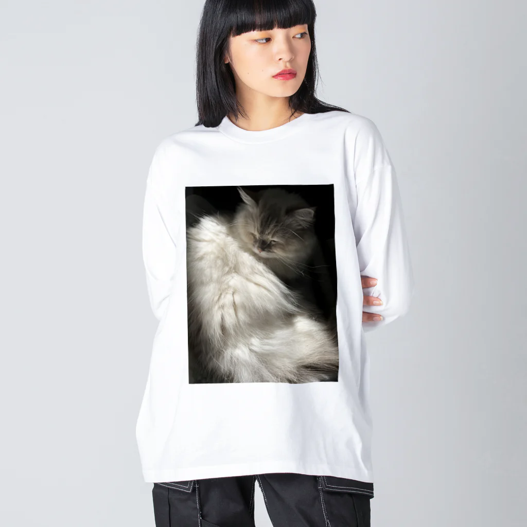 詩緒莉の見返りにっき Big Long Sleeve T-Shirt