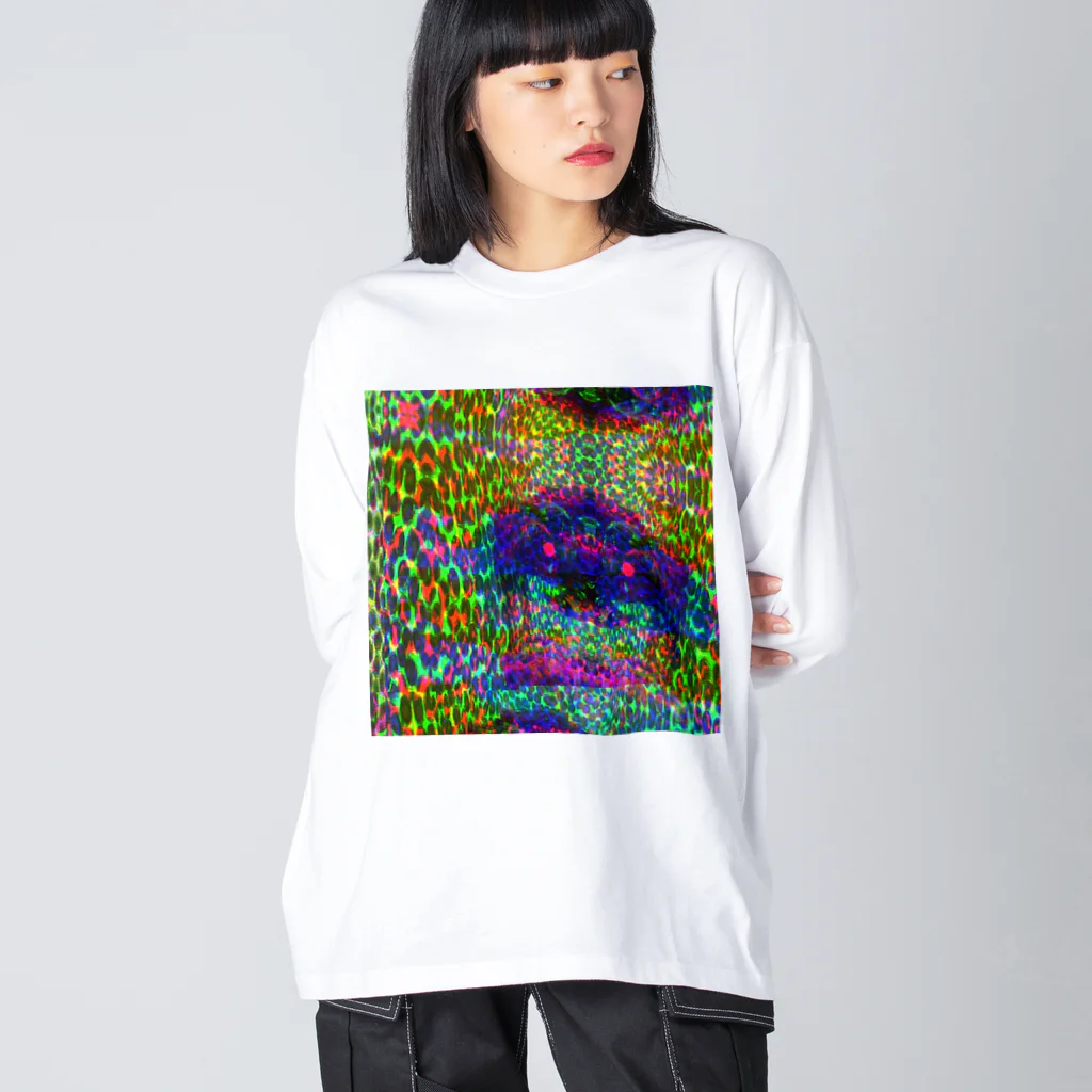 egg Artworks & the cocaine's pixの『∫αЙ†α₷₥α f4r sµ!c!de.』 ビッグシルエットロングスリーブTシャツ