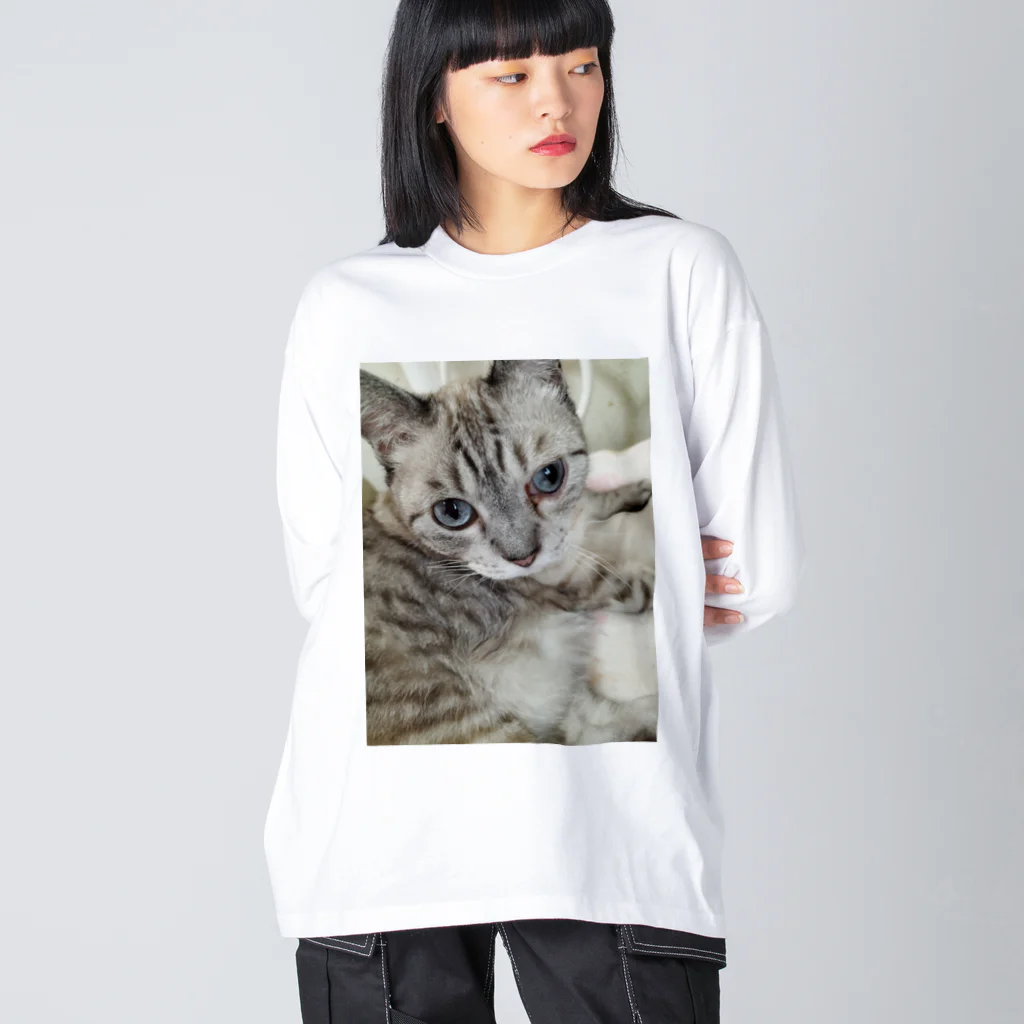 ねこの森でお散歩のフッワフワのシャムミックス ビッグシルエットロングスリーブTシャツ