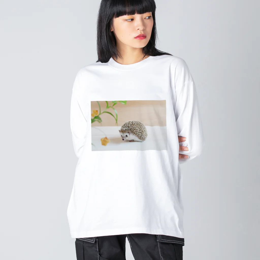 むぎこむ工房の上目遣いのハリネズミ Big Long Sleeve T-Shirt