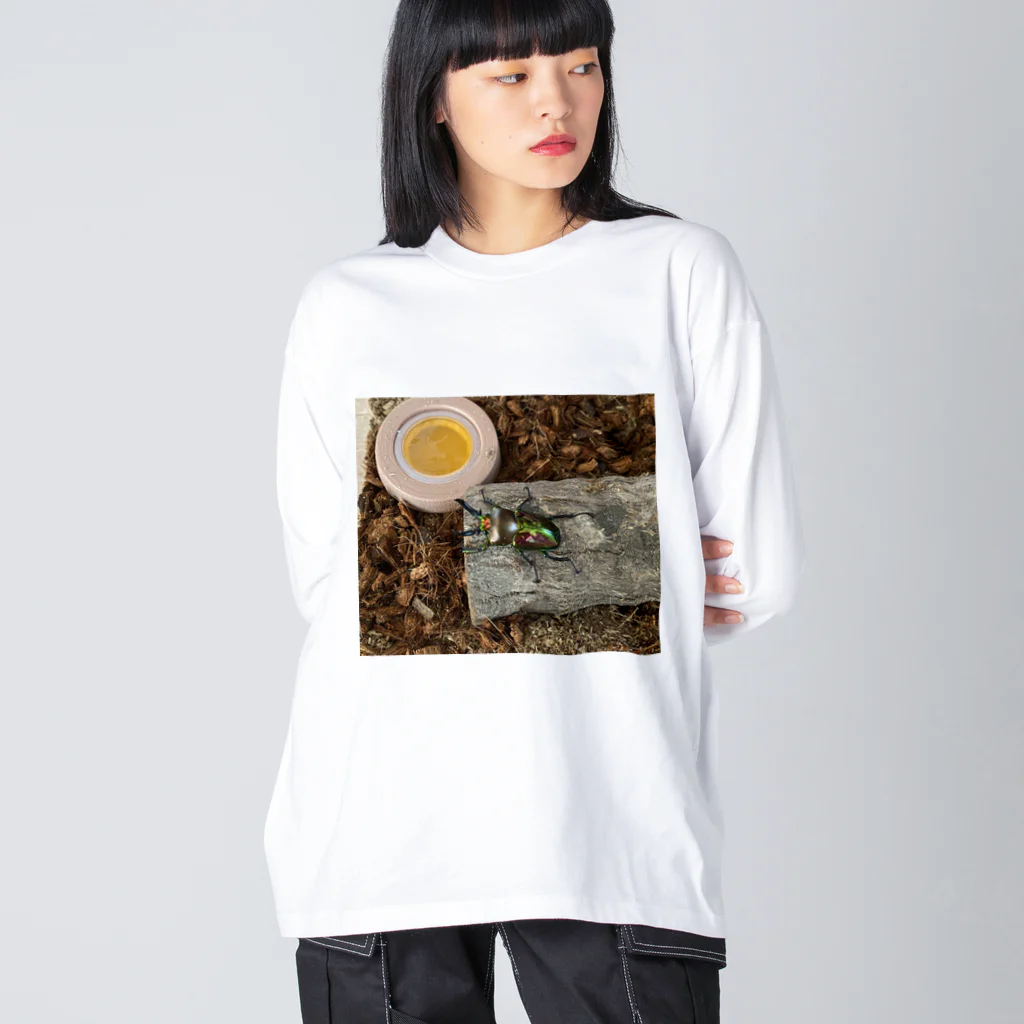 kakikukekodomoのニジイロクワガタくん Big Long Sleeve T-Shirt