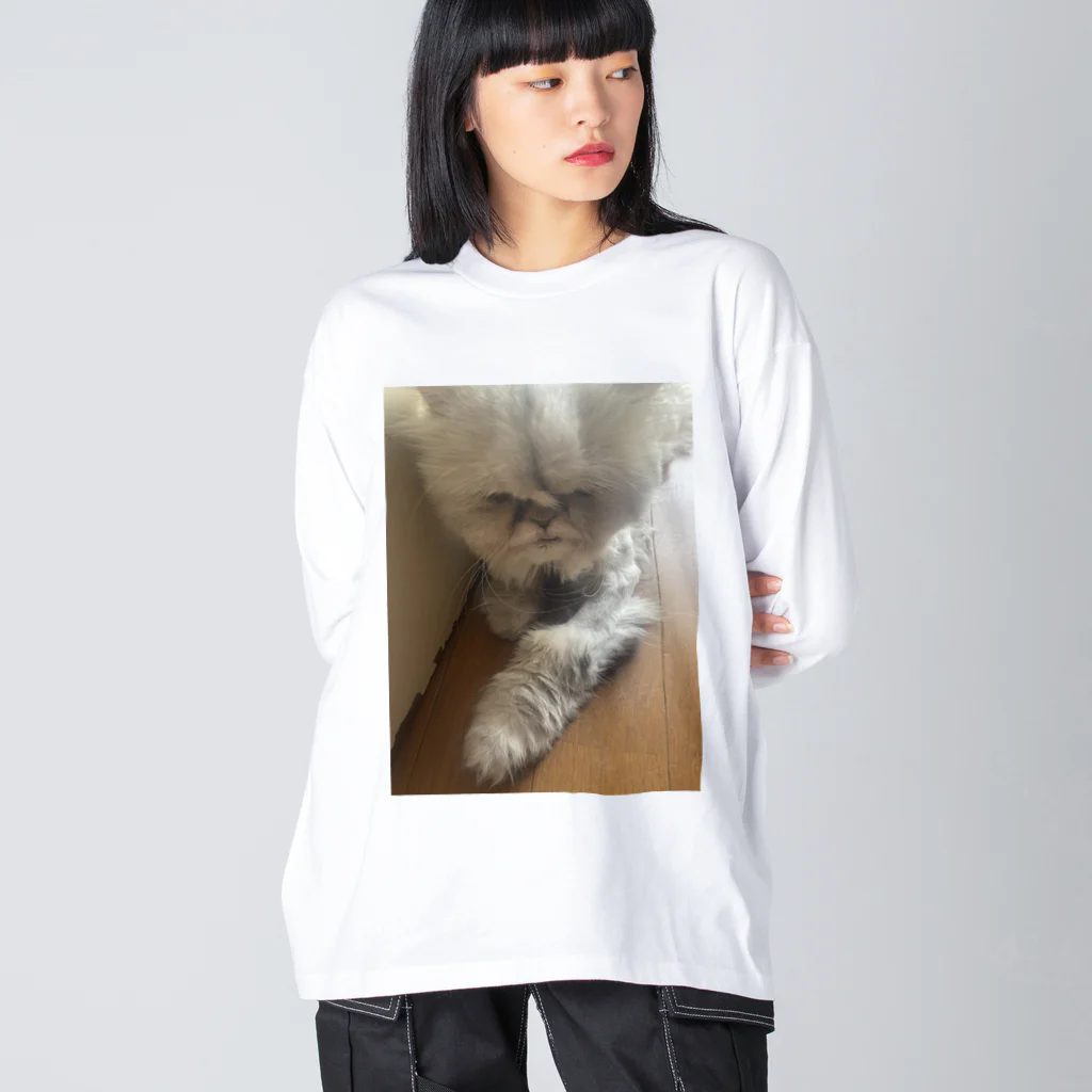 はなもうぽすぽすのリラックスはなもう Big Long Sleeve T-Shirt