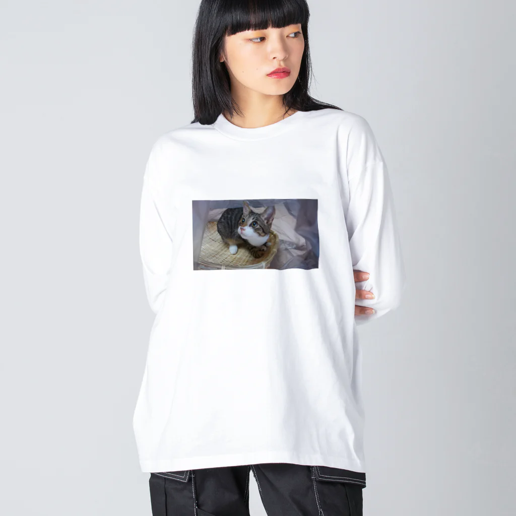 いわたみーと😿現在お昼寝中のアイドルにごたん ビッグシルエットロングスリーブTシャツ