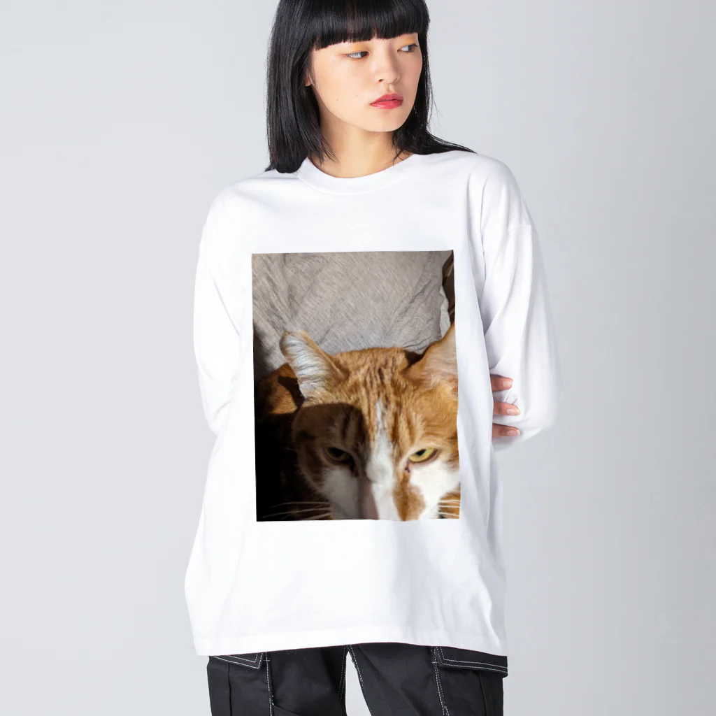 ROM鹿の寝起きを撮られた猫 ビッグシルエットロングスリーブTシャツ