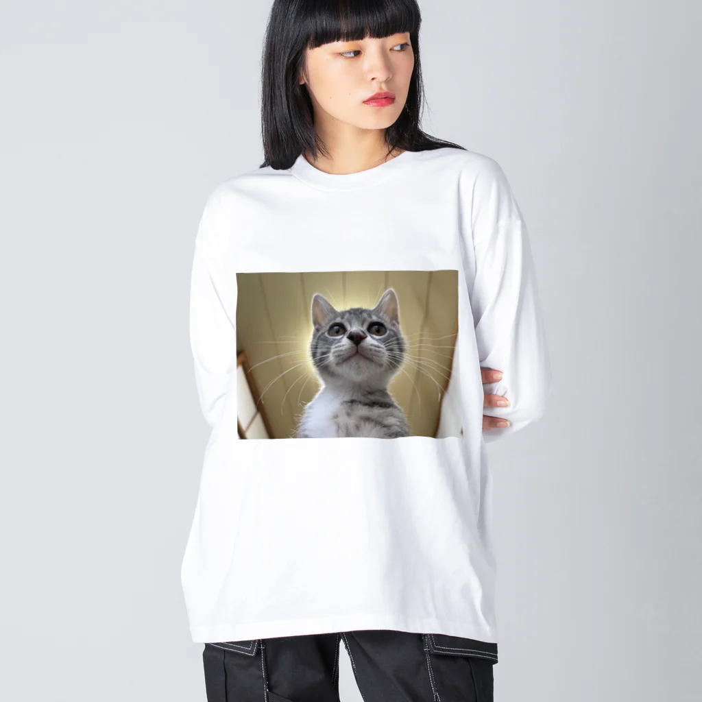 Vegeta_cat22の保護猫ベジータ　神 ビッグシルエットロングスリーブTシャツ