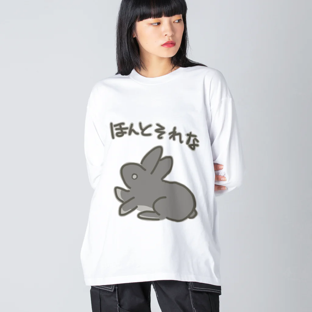 ミナミコアリクイ【のの】のほんとそれな【うさぎ】 ビッグシルエットロングスリーブTシャツ