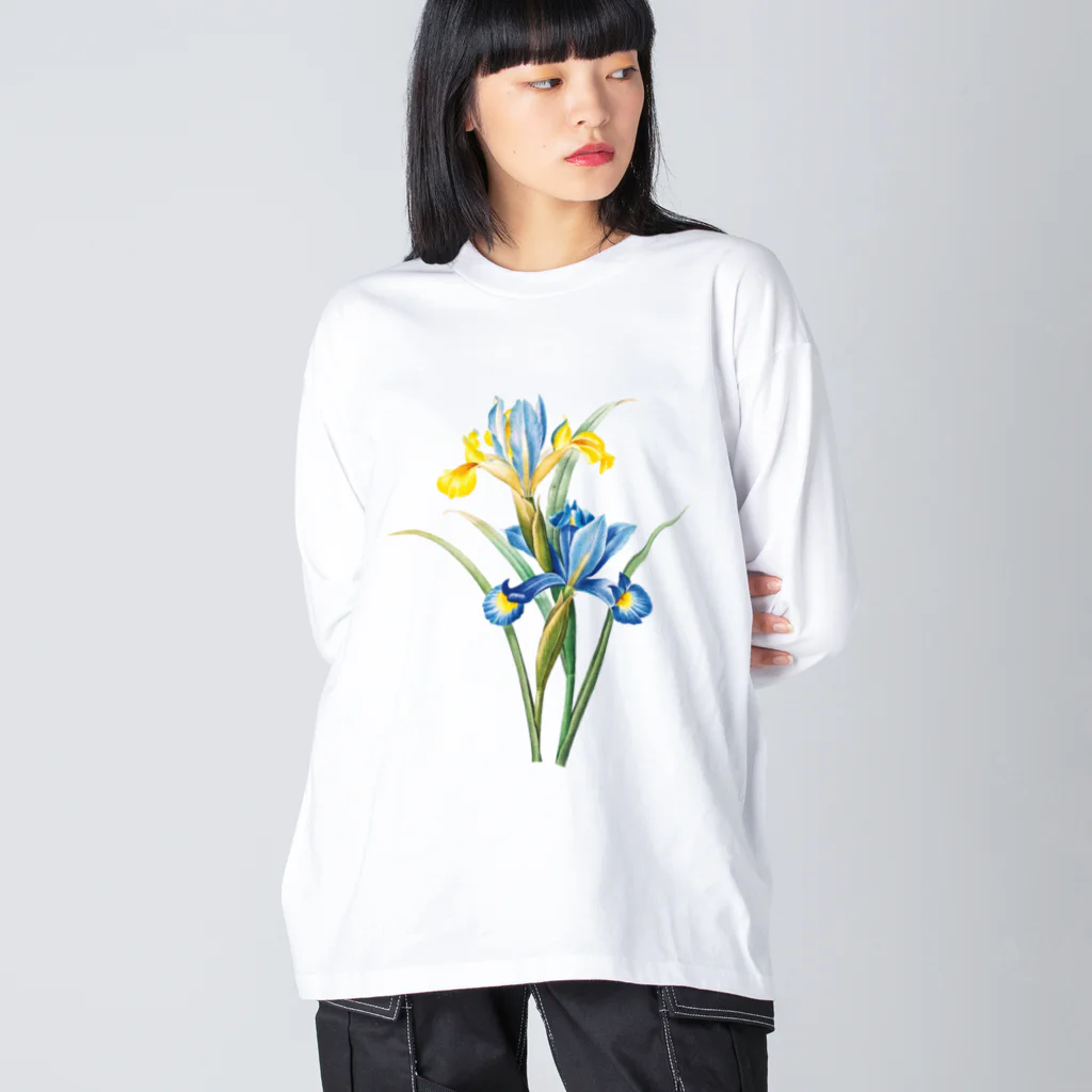 Hungry Freaksのスパニッシュ・アイリス Big Long Sleeve T-Shirt