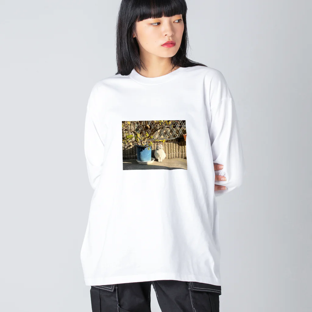 kambutsuyaの散歩の記憶② Big Long Sleeve T-Shirt