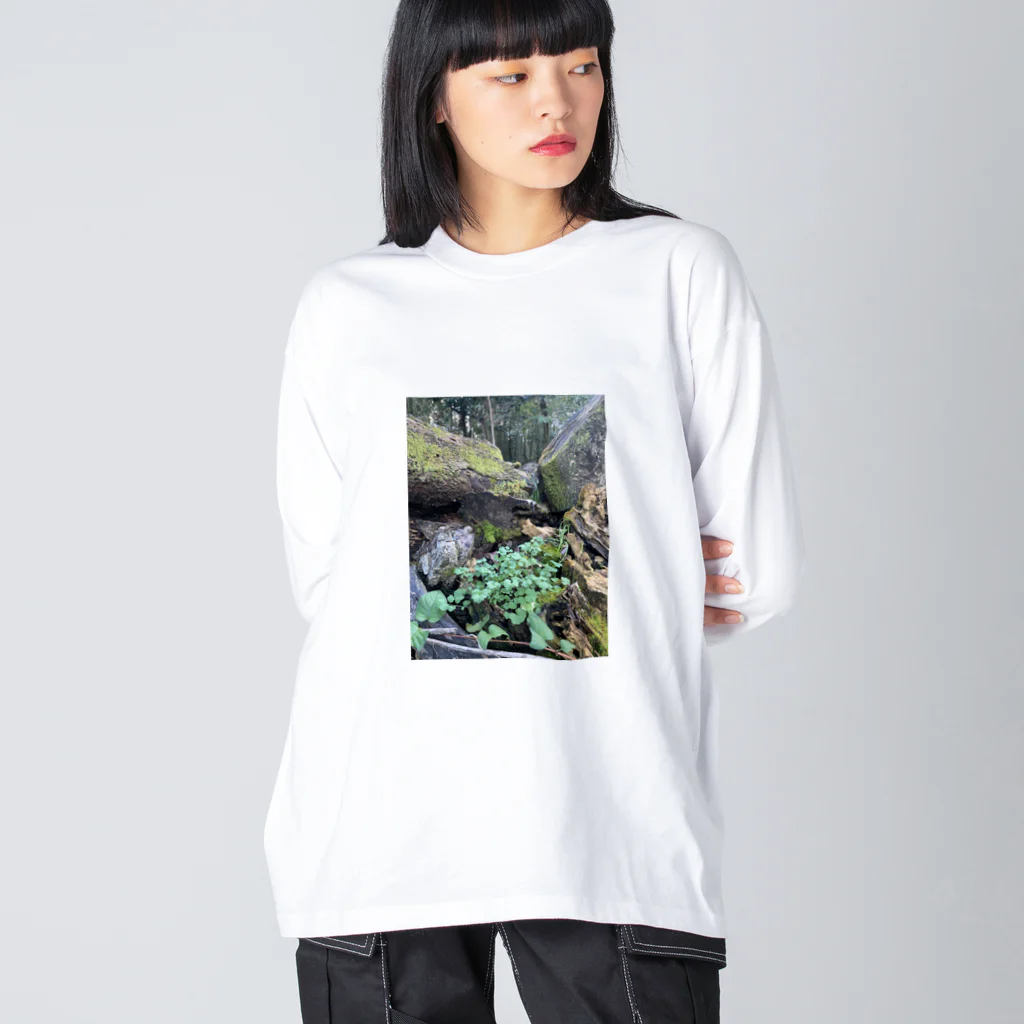 FIRE FLYの多様性の森 Big Long Sleeve T-Shirt