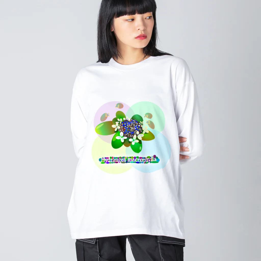 『NG （Niche・Gate）』ニッチゲート-- IN SUZURIの〇絵『額紫陽花h.t.』 ビッグシルエットロングスリーブTシャツ