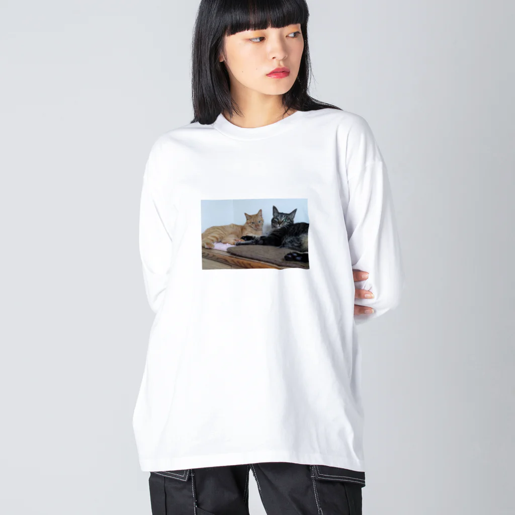 しろねこまるの茶トラのちゃちゃとキジのつぶちゃん Big Long Sleeve T-Shirt