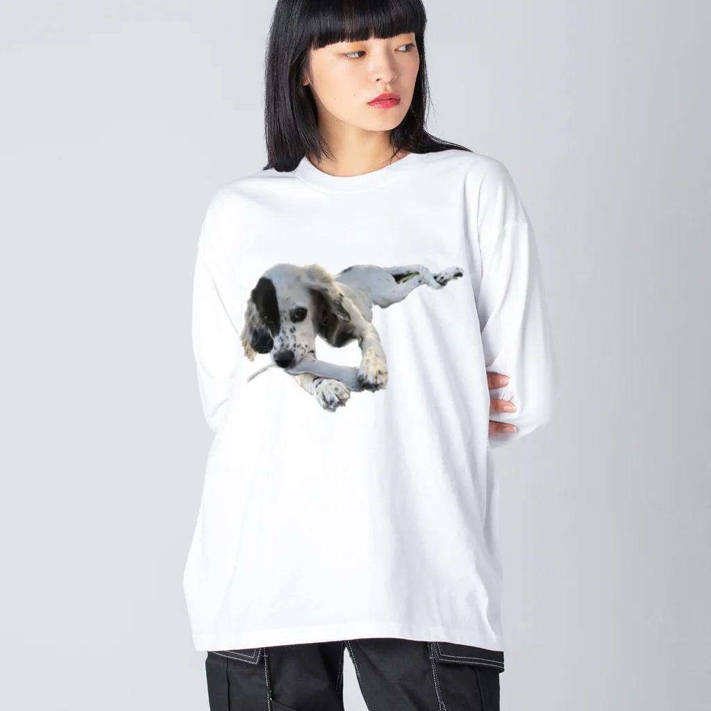 hrhrhrhrpのるちん2 Big Long Sleeve T-Shirt