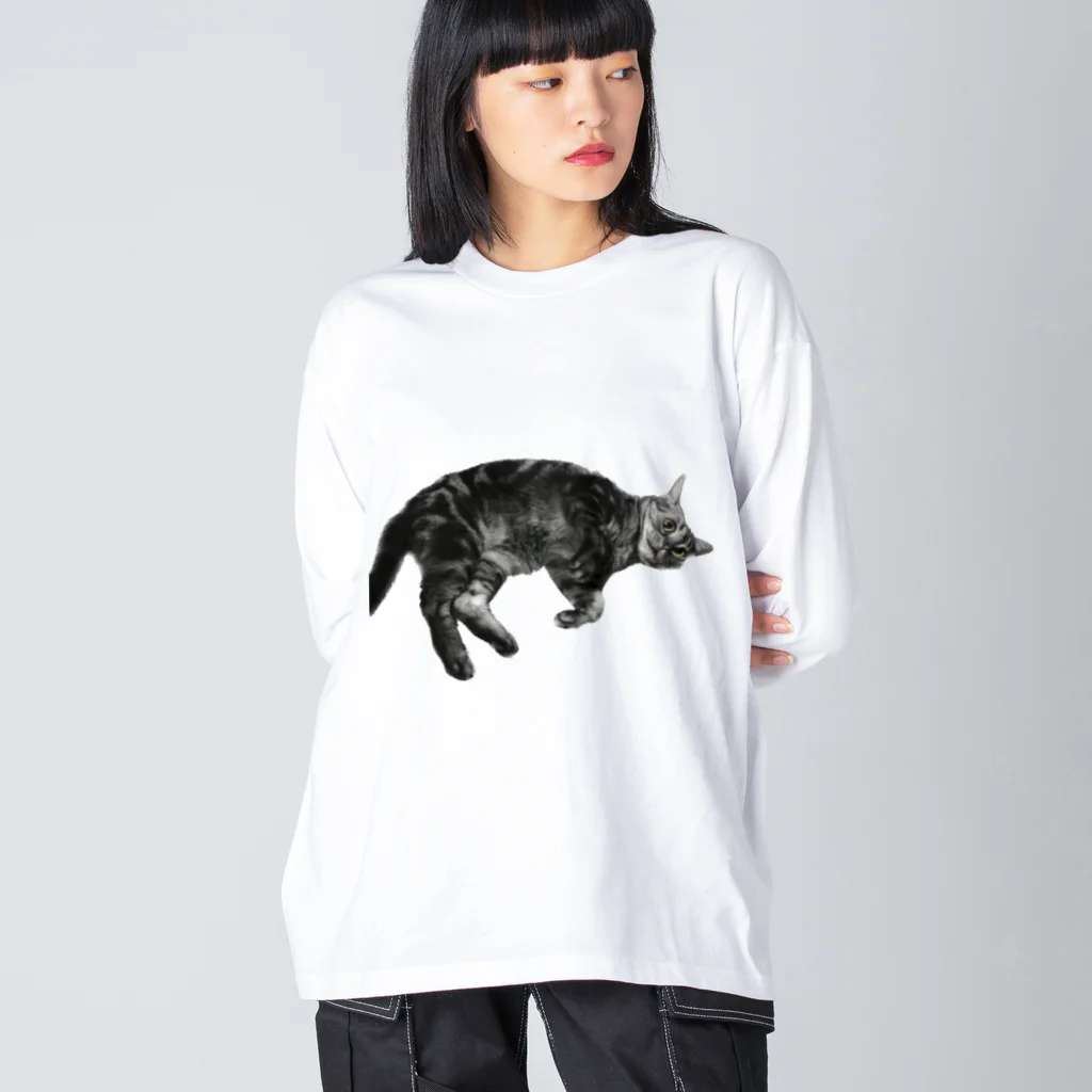 アメショーのひめちゃんのアメショーのひめちゃん⑥ ビッグシルエットロングスリーブTシャツ