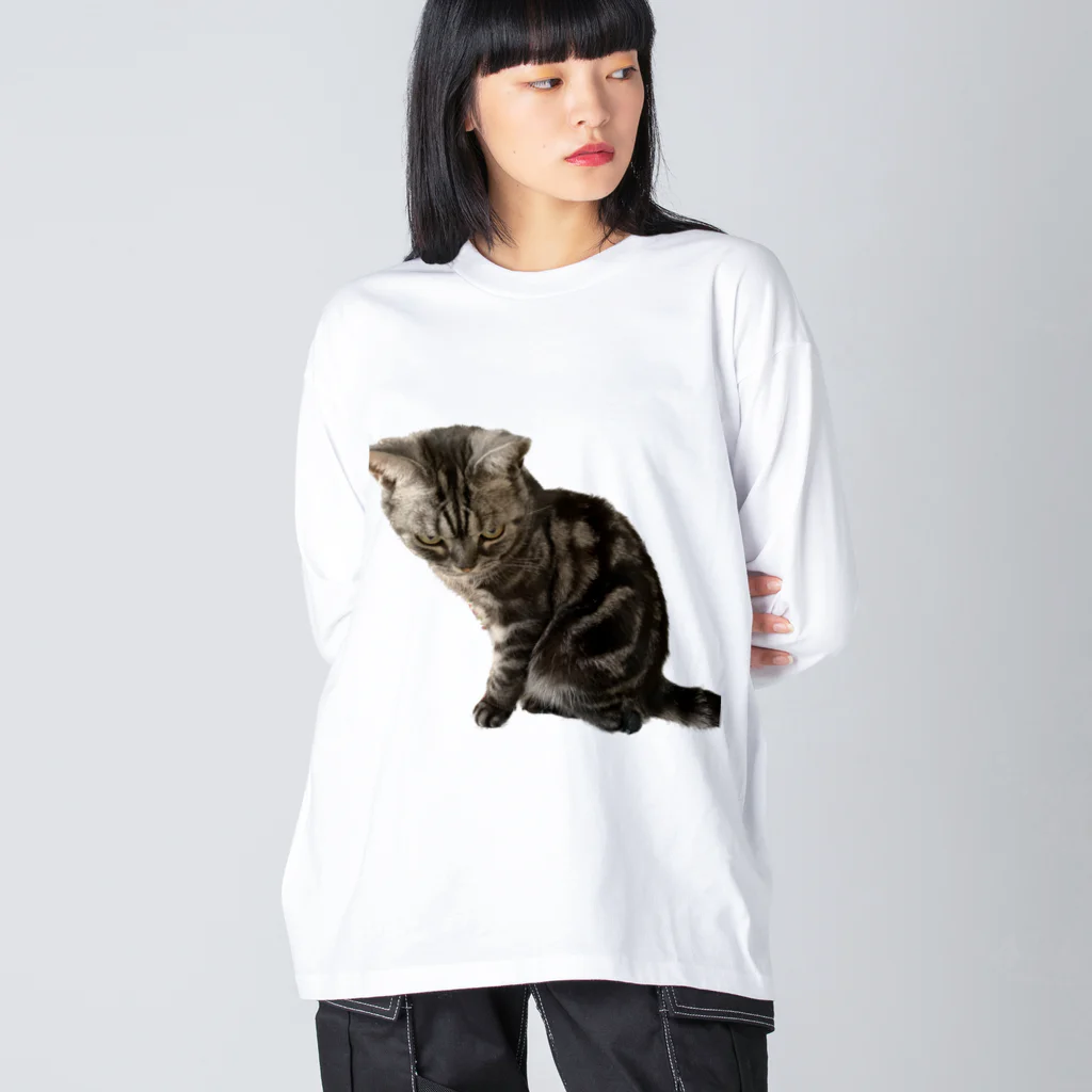 アメショーのひめちゃんのアメショーのひめちゃん⑦ ビッグシルエットロングスリーブTシャツ