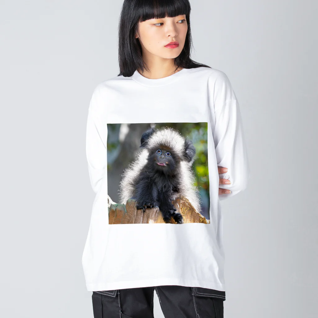 kuri_AMERICANの珍しい動物 ビッグシルエットロングスリーブTシャツ