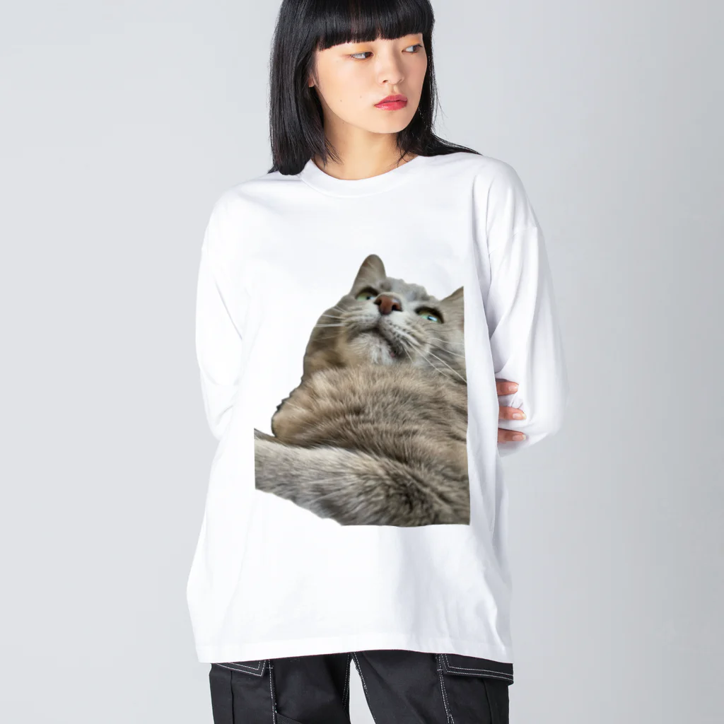 グレージュ猫ロッタン🐈‍⬛のよそ見ロッタン Big Long Sleeve T-Shirt