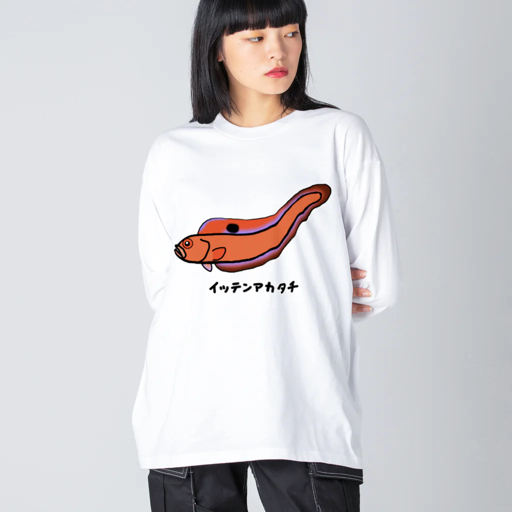 脂身通信Ｚの【魚シリーズ】イッテンアカタチ♪231103 Big Long Sleeve T-Shirt